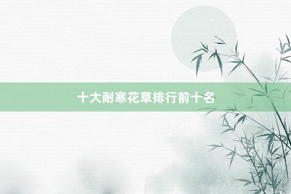 十大耐寒花草排行前十名