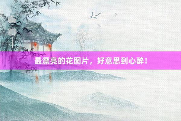 最漂亮的花图片，好意思到心醉！