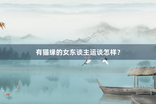 有猫缘的女东谈主运谈怎样？