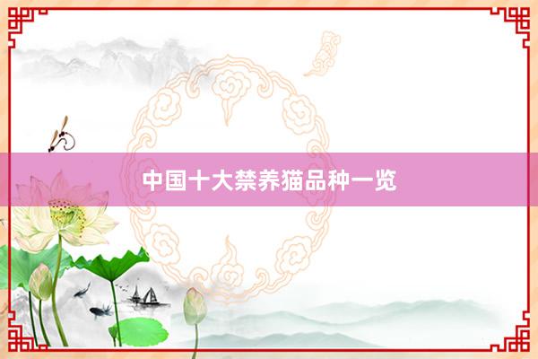 中国十大禁养猫品种一览